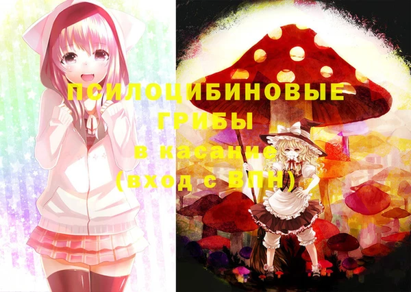 бошки Усолье-Сибирское