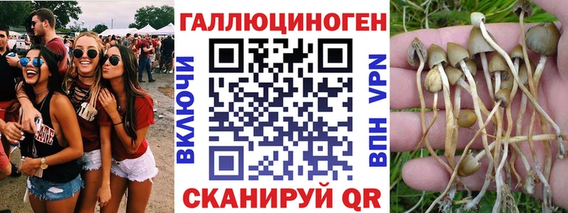 Псилоцибиновые грибы Cubensis  магазин продажи наркотиков  Южно-Сухокумск 